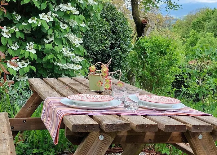 Un Petit Coin De Paradis *